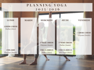 Planning yoga hatha vinyasa saint andre de cubzac